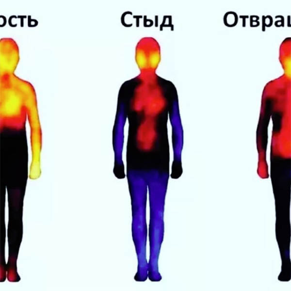 Тепловая карта эмоций человека