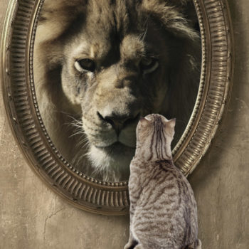 уровень самооценки высокий