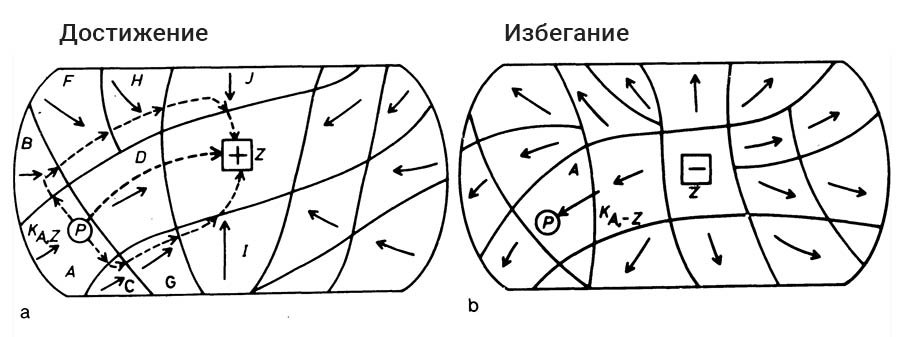 как жизненное пространство рисовал Курт Левин