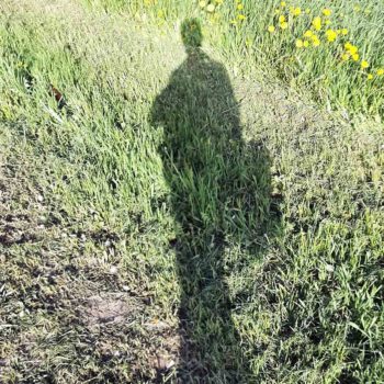 Мужчина после развода помощь психолога